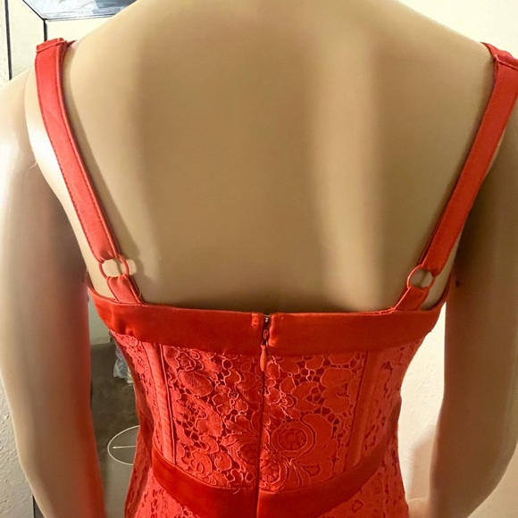 Lace corset Dress by Express in a vibrant coral color - Picture 4 of 7